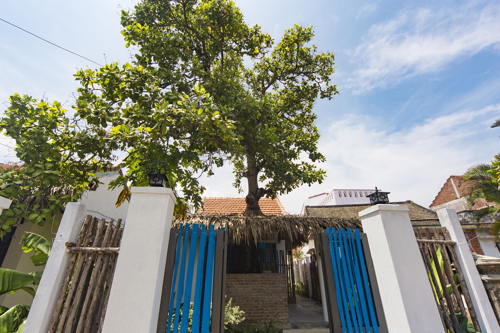 Cashew Tree Bungalow Hoi An Exterior photo